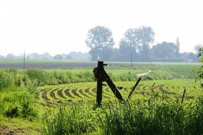Countryside 2, par Xavier E. G. Dierick